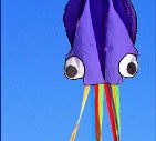 Thumbnail for 3D 4M Large Octopus Kite with Handle Line