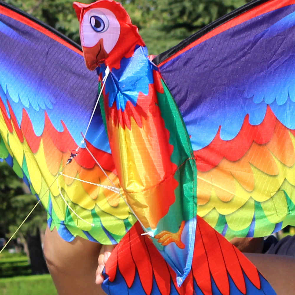 3D Parrot Kite Large Size