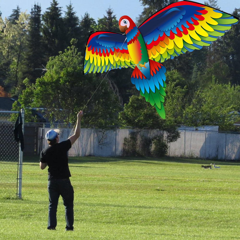 3D Parrot Kite Large Size