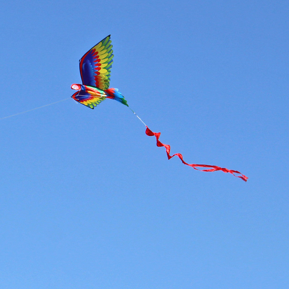 3D Parrot Kite Large Size