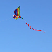 Thumbnail for 3D Parrot Kite Large Size