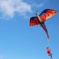 Thumbnail for 3D Dragon Kite