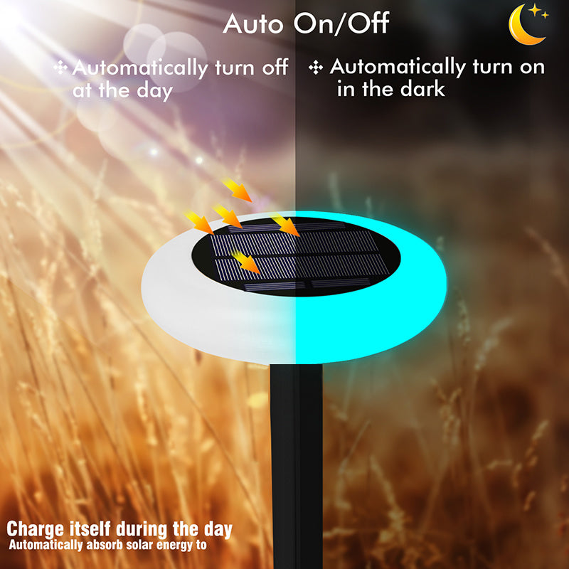 Solar Floating Pool Lights